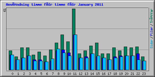 Användning timme för timme för January 2011