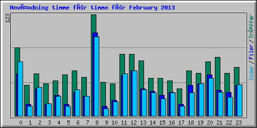 Användning timme för timme för February 2013