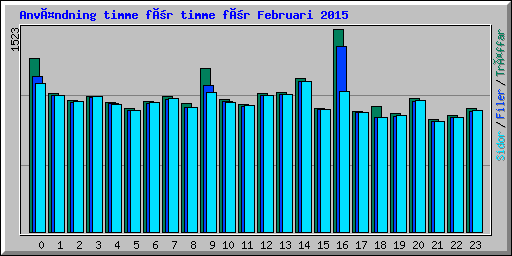 Användning timme för timme för Februari 2015