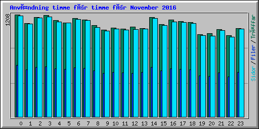 Användning timme för timme för November 2016