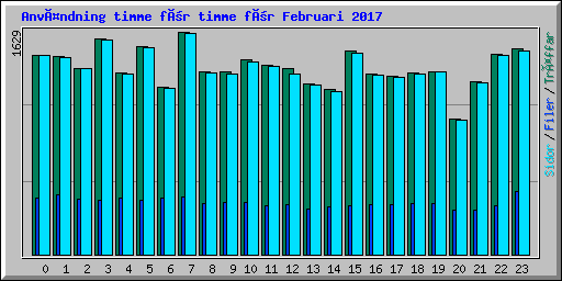 Användning timme för timme för Februari 2017